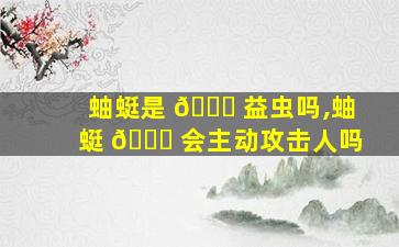 蚰蜓是 💐 益虫吗,蚰蜓 🐎 会主动攻击人吗